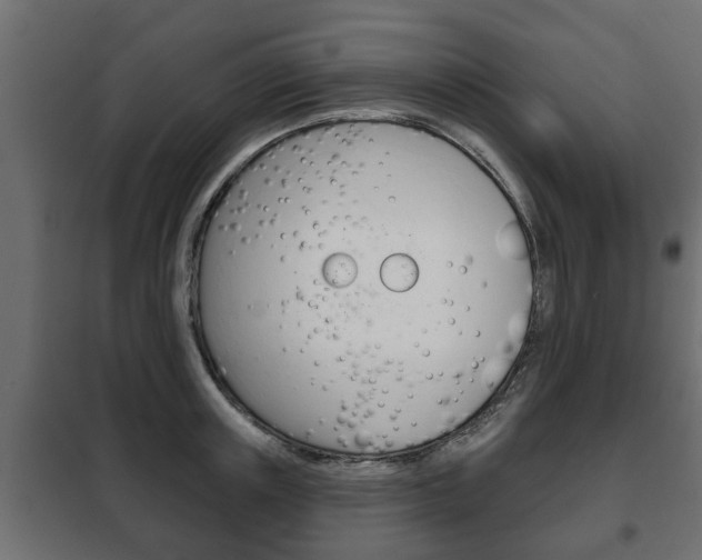 X0000102460851200808080943