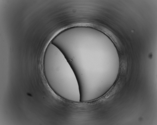 X0000102460852200808080943