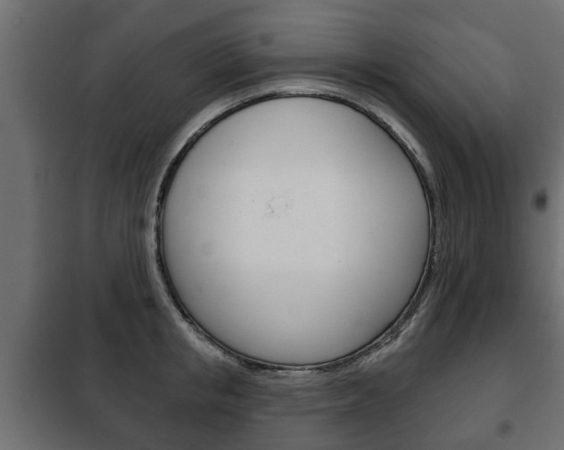 X0000102460853200808080943