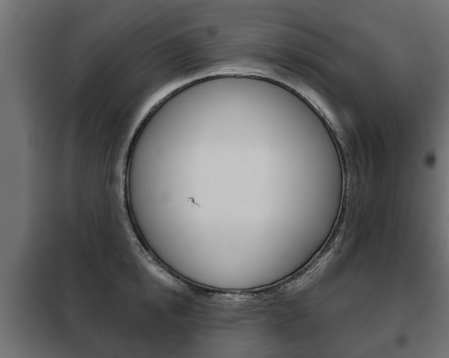 X0000102460854200808080943