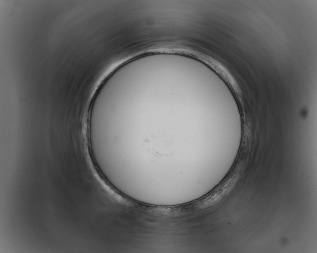 X0000102460855200808080943