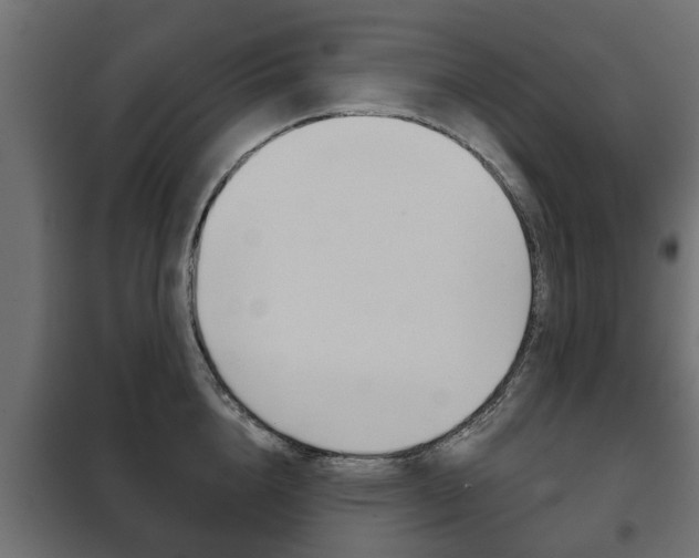 X0000102460856200808080943