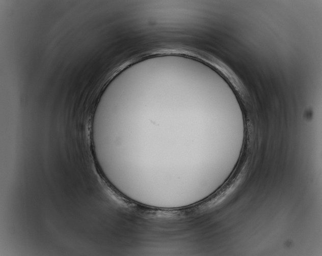 X0000102460857200808080943