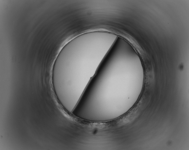 X0000102460858200808080943