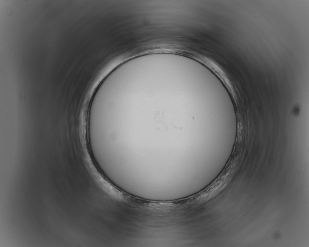 X0000102460859200808080943