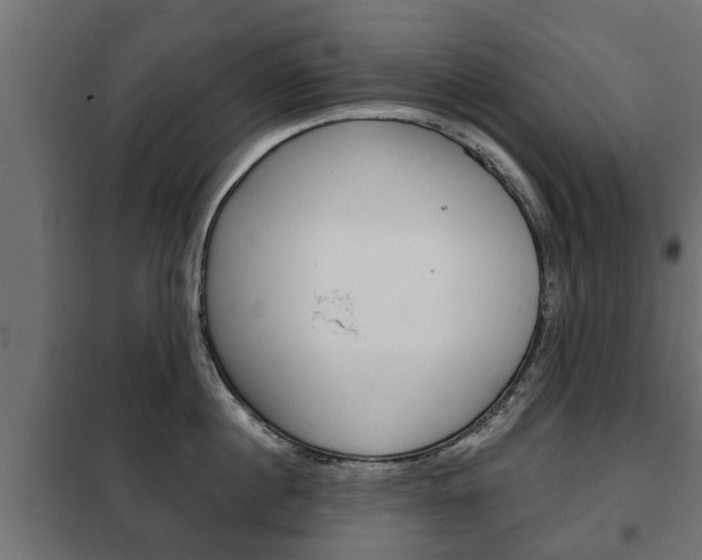 X0000102460860200808080943
