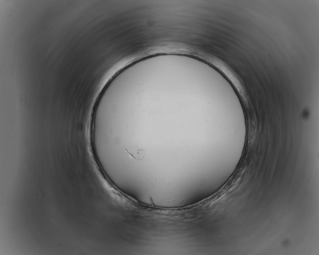 X0000102460861200808080943
