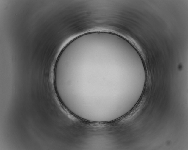 X0000102460862200808080943