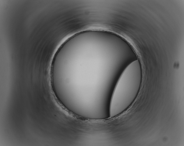 X0000102460864200808080943