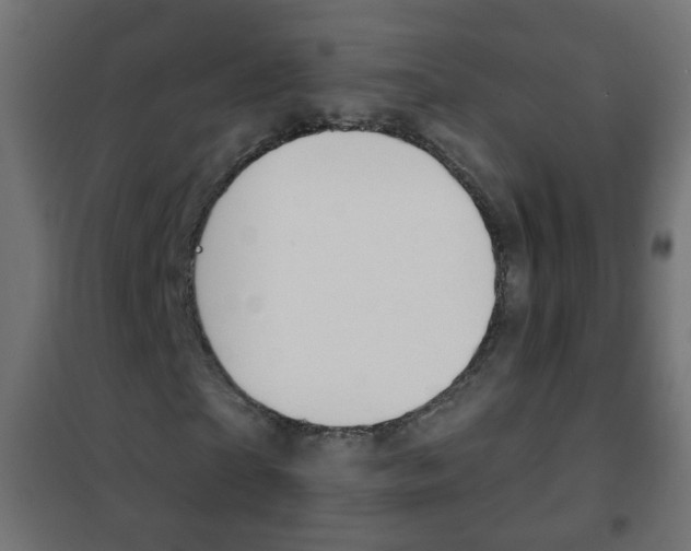 X0000102460865200808080942