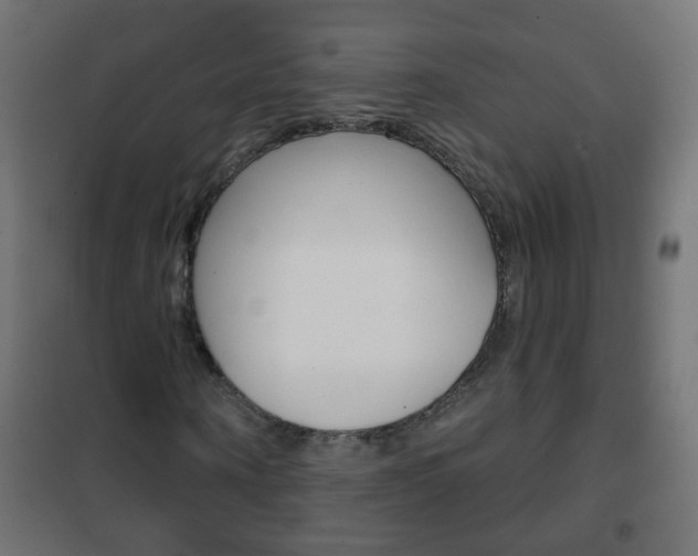 X0000102460866200808080942