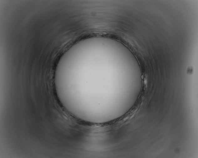 X0000102460867200808080942