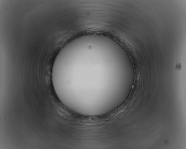 X0000102460868200808080942