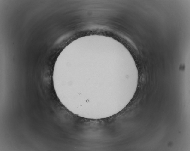 X0000102460869200808080942