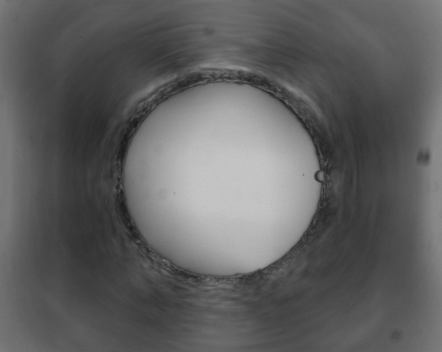 X0000102460870200808080942