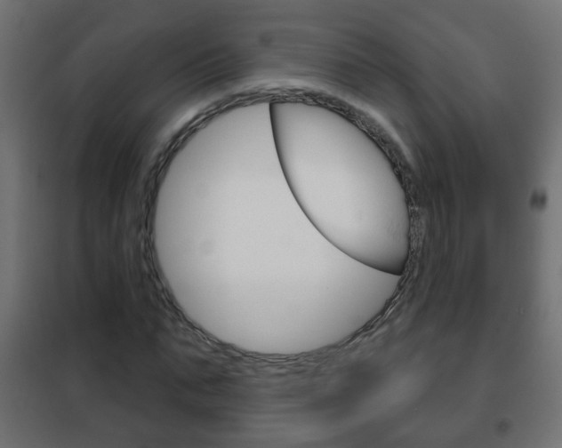 X0000102460871200808080942