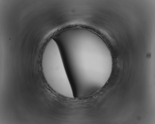 X0000102460872200808080942