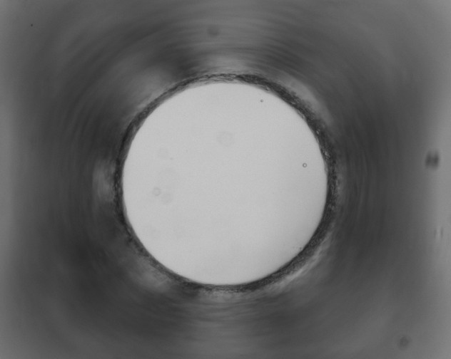 X0000102460873200808080942