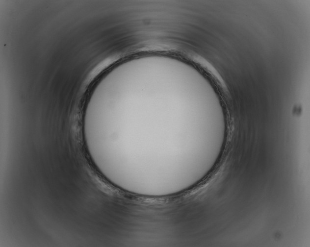 X0000102460874200808080942