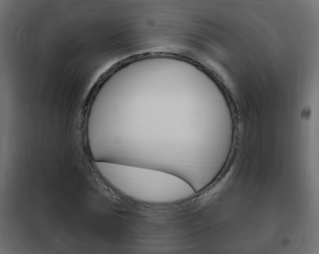 X0000102460875200808080942