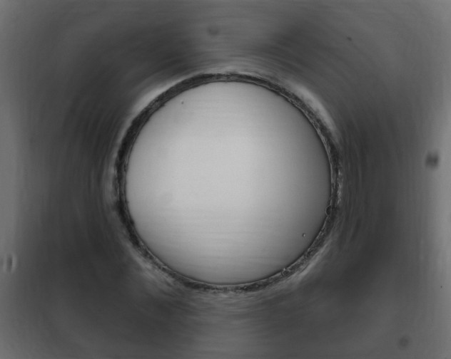 X0000102460876200808080942