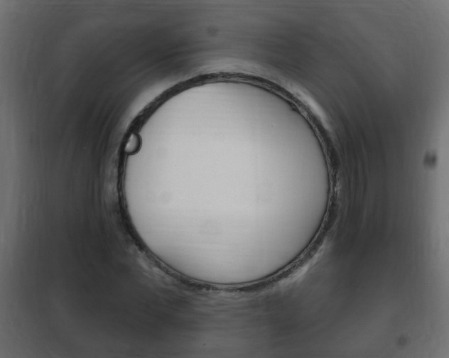 X0000102460877200808080942