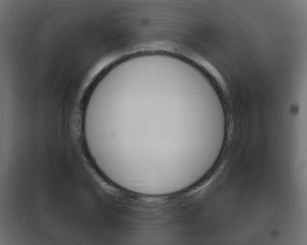 X0000102460878200808080942