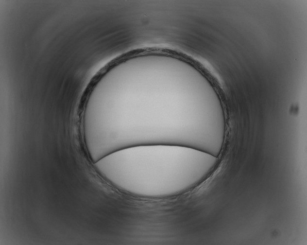 X0000102460879200808080942