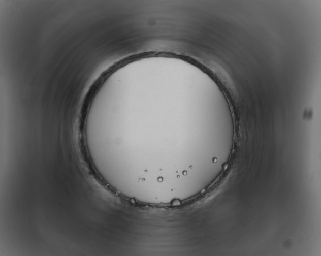 X0000102460880200808080942