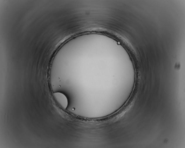 X0000102460881200808080942