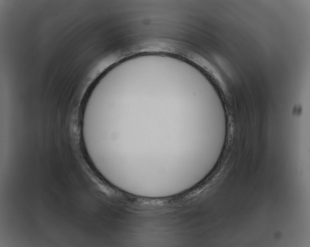 X0000102460882200808080942