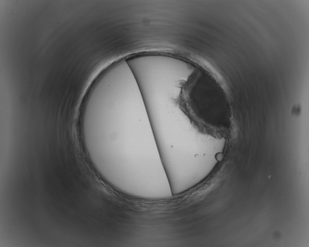 X0000102460883200808080942