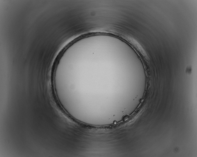 X0000102460884200808080942