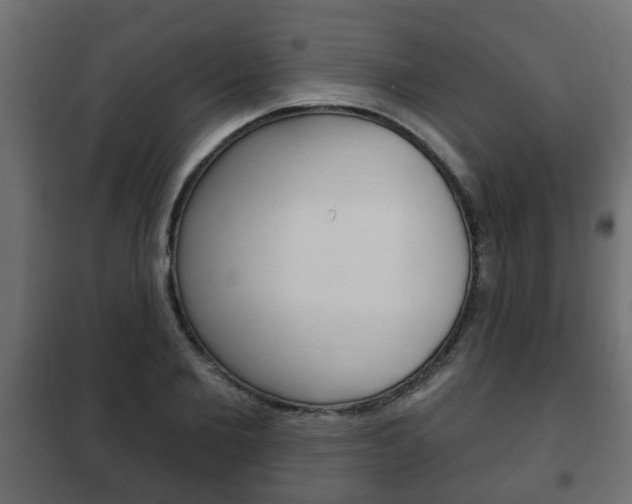 X0000102460885200808080942