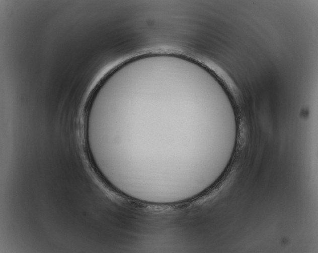 X0000102460886200808080942