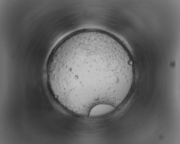 X0000102460887200808080942