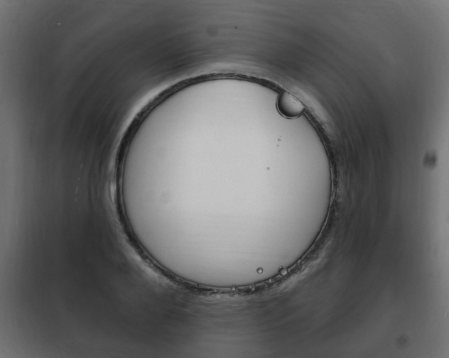 X0000102460888200808080942