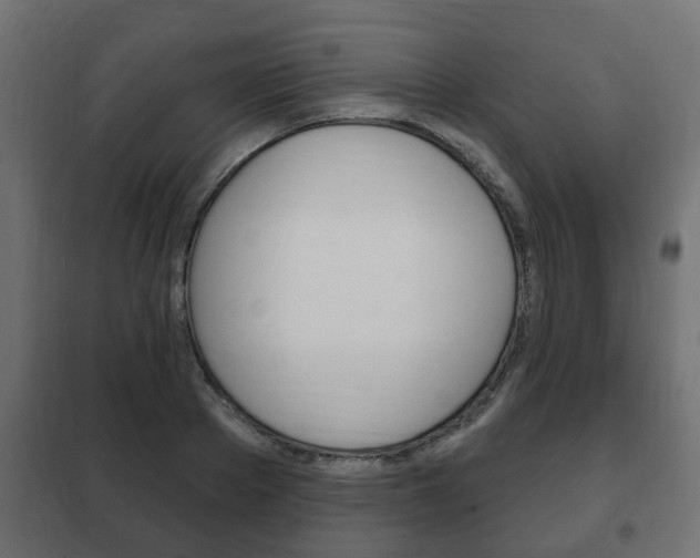 X0000102460889200808080942