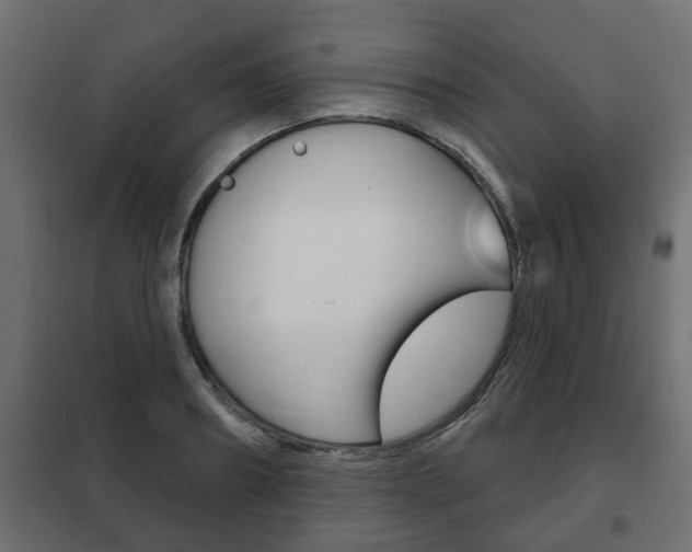 X0000102460890200808080942