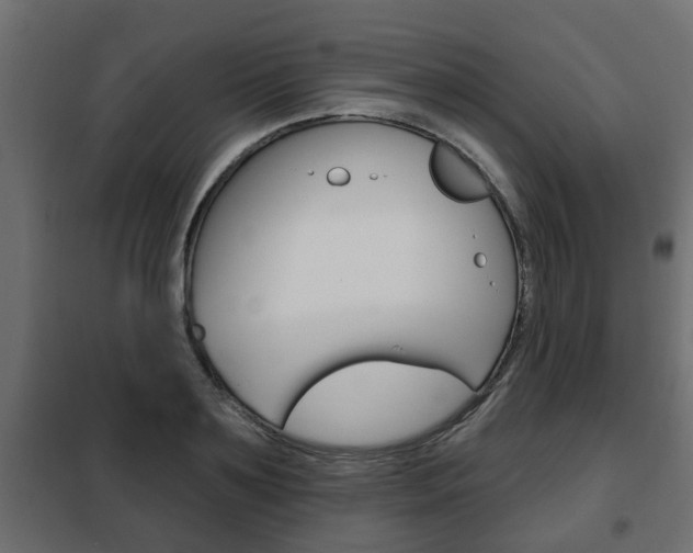 X0000102460891200808080942