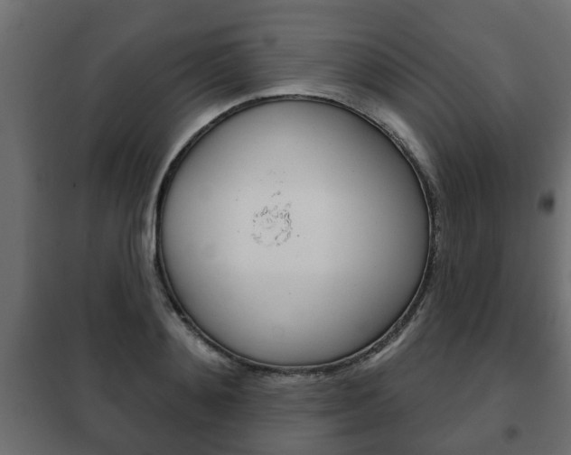 X0000102460892200808080942