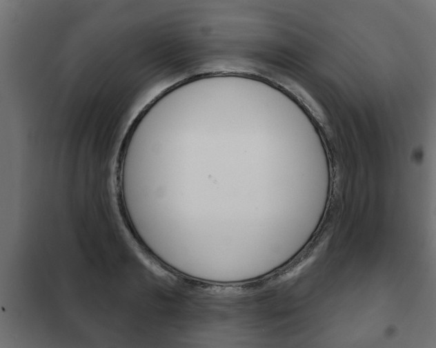 X0000102460893200808080942