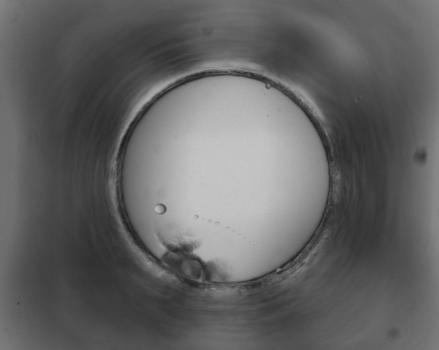 X0000102460895200808080942