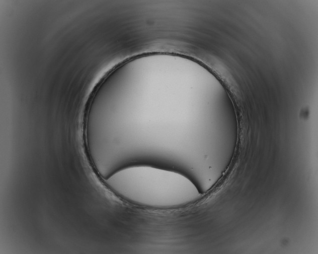 X0000102460896200808080942