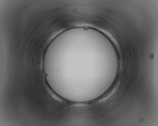 X0000102460897200808080942