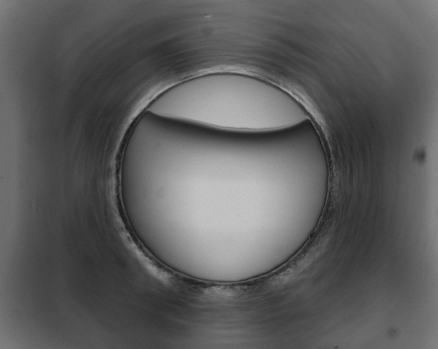 X0000102460898200808080942