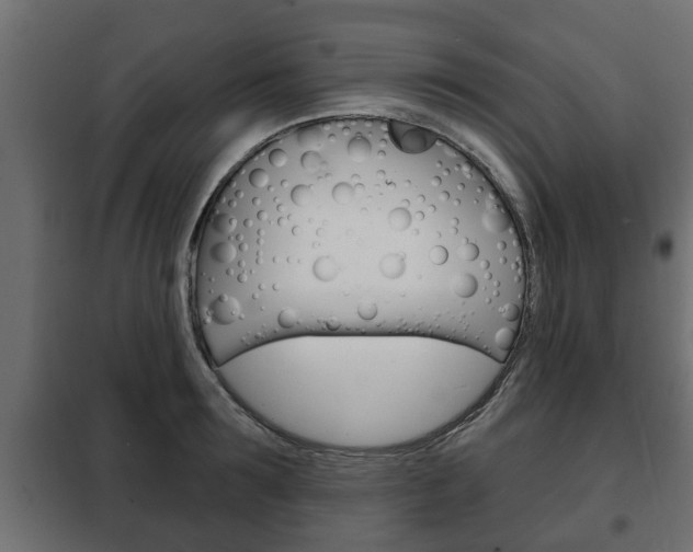 X0000102460899200808080942