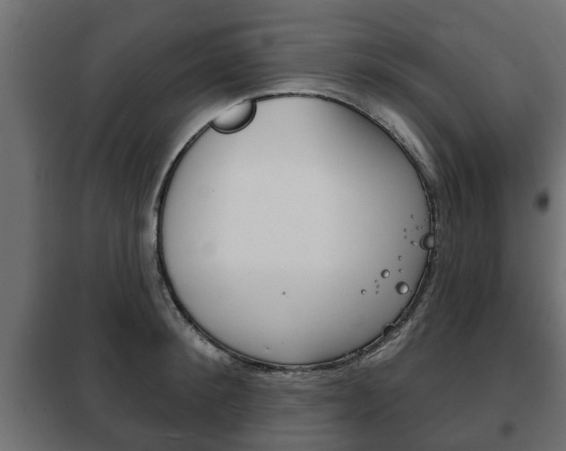 X0000102460900200808080942