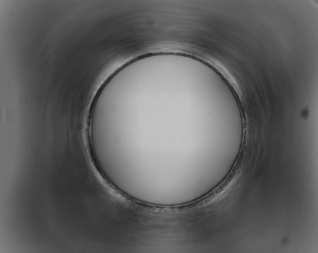 X0000102460901200808080942