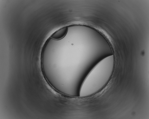 X0000102460902200808080942